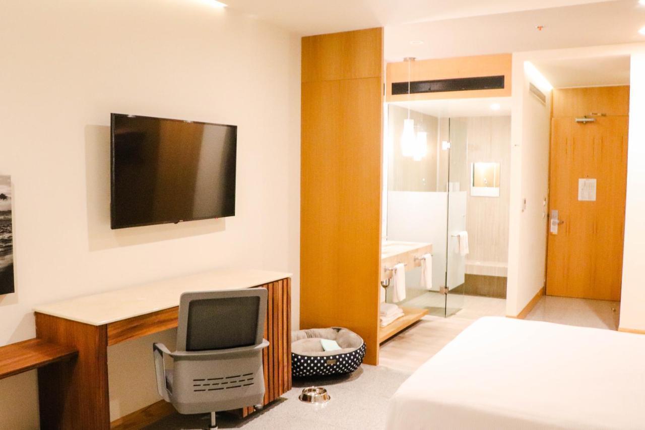 Hotel Mio Vallarta Unique & Different- Adults Only Puerto Vallarta Ngoại thất bức ảnh A room at the hotel